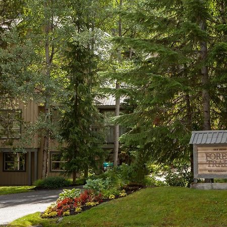 Forest Trails By Whistler Premier Exterior foto